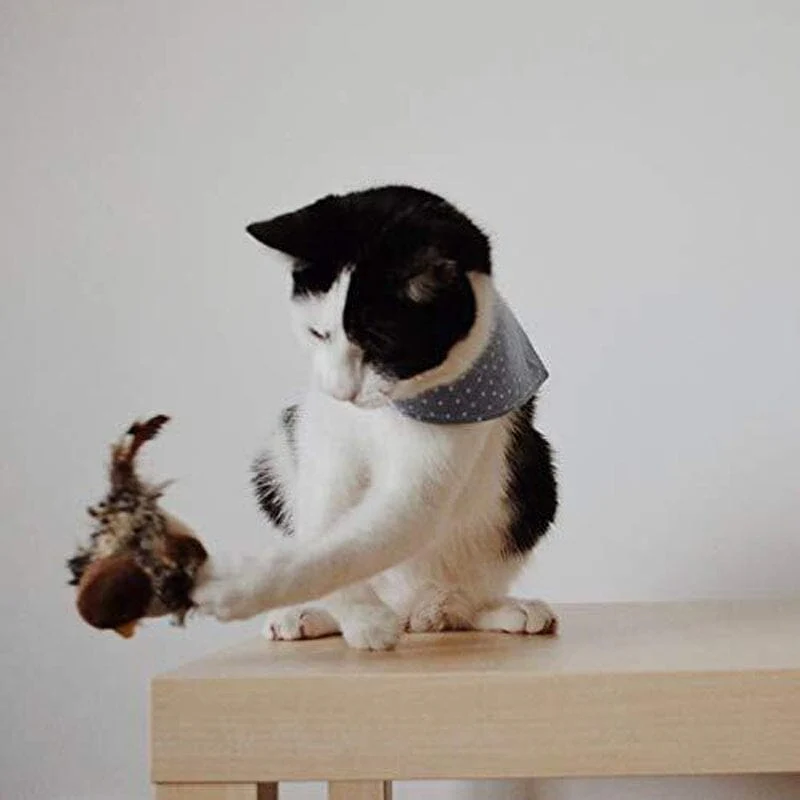 😺Simulated Chirping Bird - Image 11