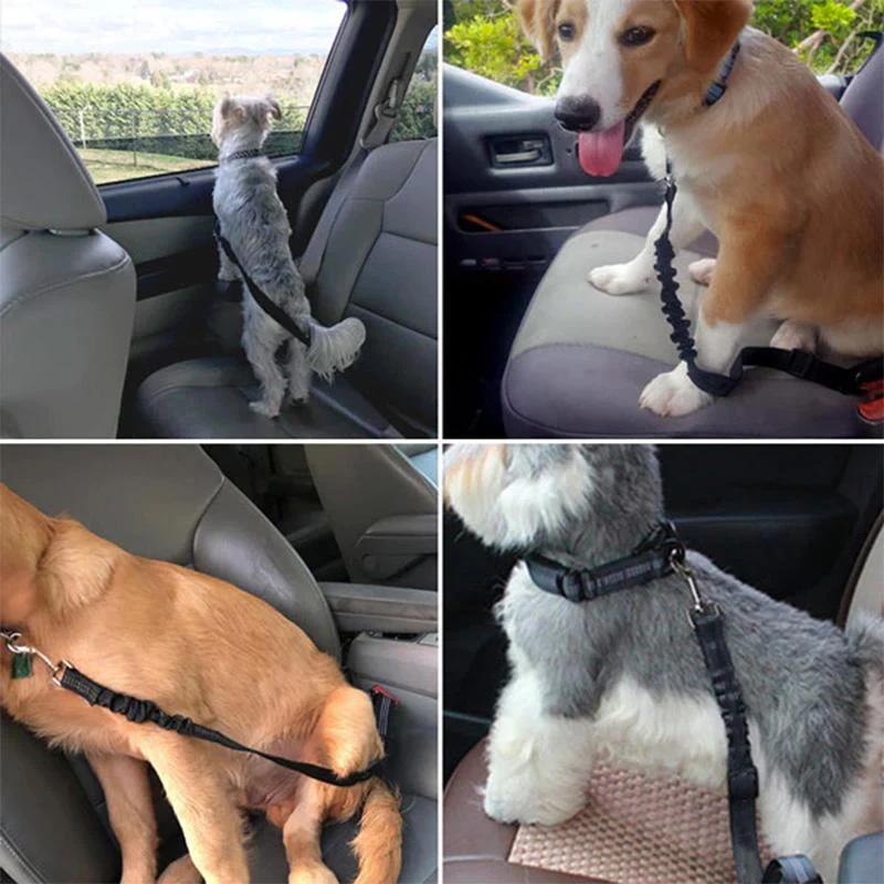 Adjustable Seat Belts for Dogs - Image 8