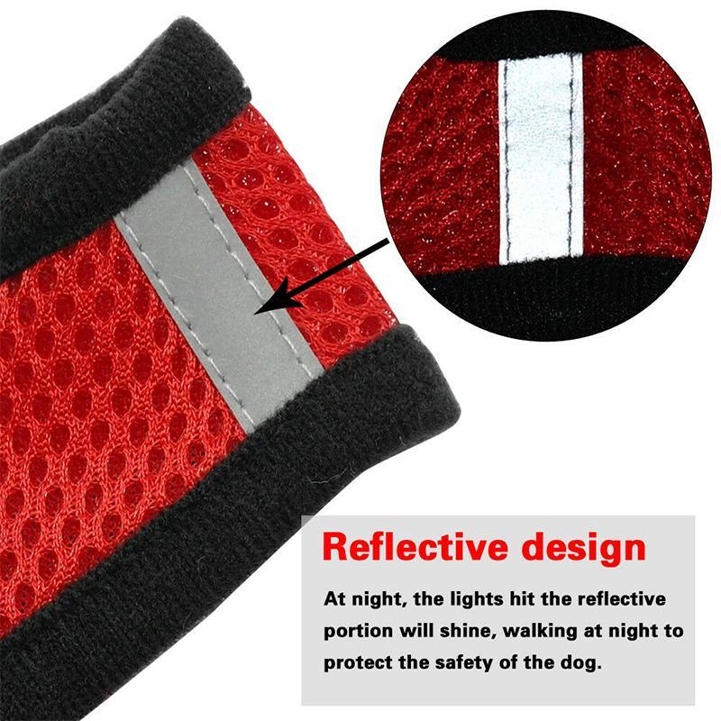 Cat Harness And Leash For Adventure - Image 3