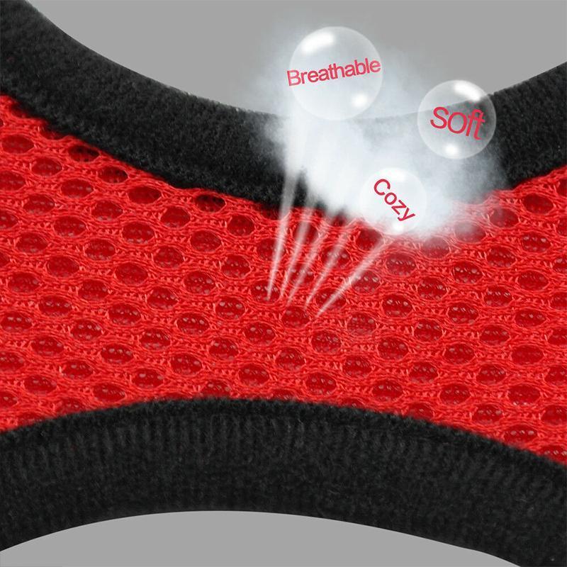 Cat Harness And Leash For Adventure - Image 4