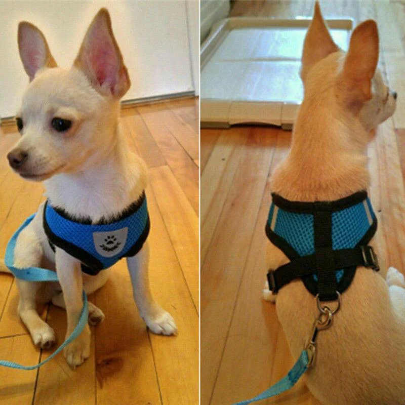 Cat Harness And Leash For Adventure - Image 5