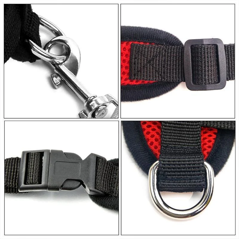 Cat Harness And Leash For Adventure - Image 6
