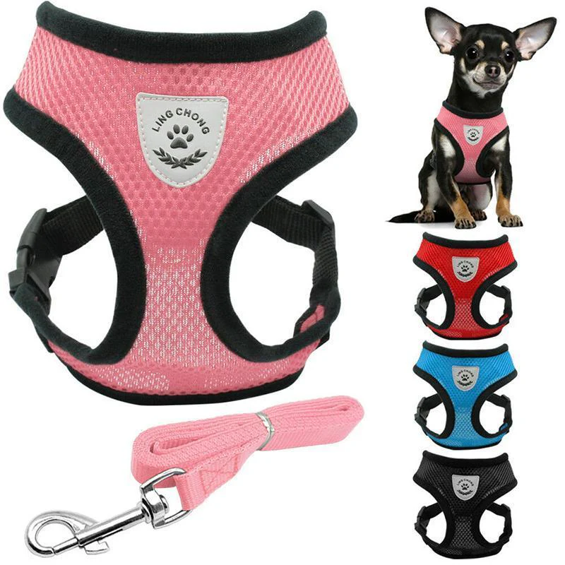Cat Harness And Leash For Adventure - Image 7