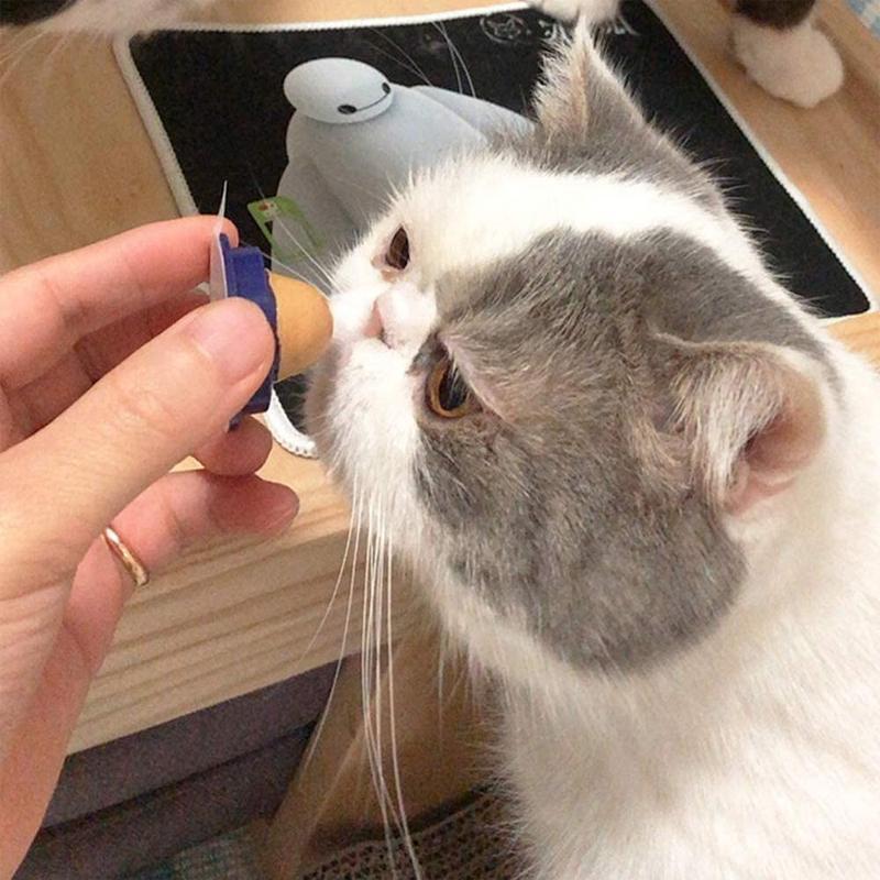 Cat Snack Nutrition Candy Ball - Image 3