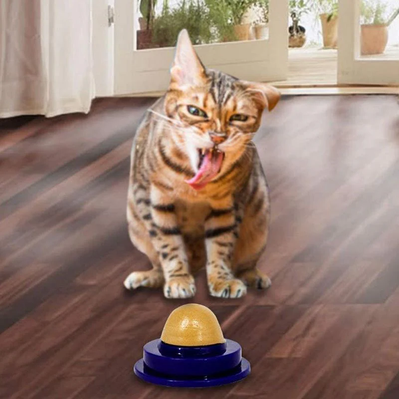 Cat Snack Nutrition Candy Ball - Image 4