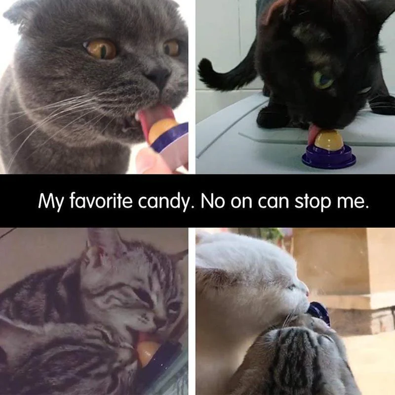 Cat Snack Nutrition Candy Ball - Image 6