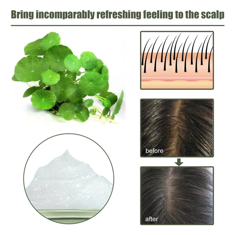 Centella Asiatica Sea Salt Shampoo - Image 7
