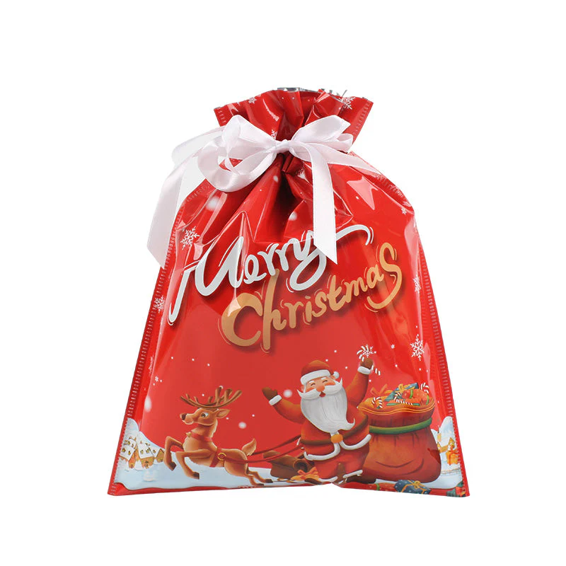 Christmas Gift Bags - Image 16