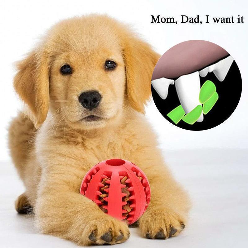 Dog Chewing Rubber Ball - Image 11