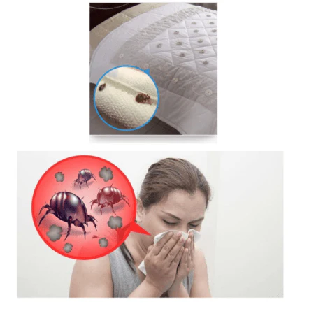 Dust Mite Killing Pad - Image 10
