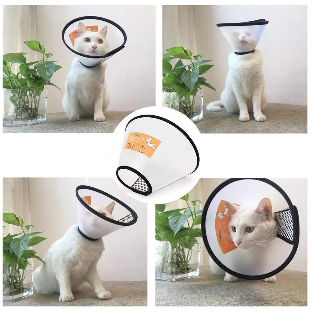 E-Collar for pets (8 sizes optional) - Image 3