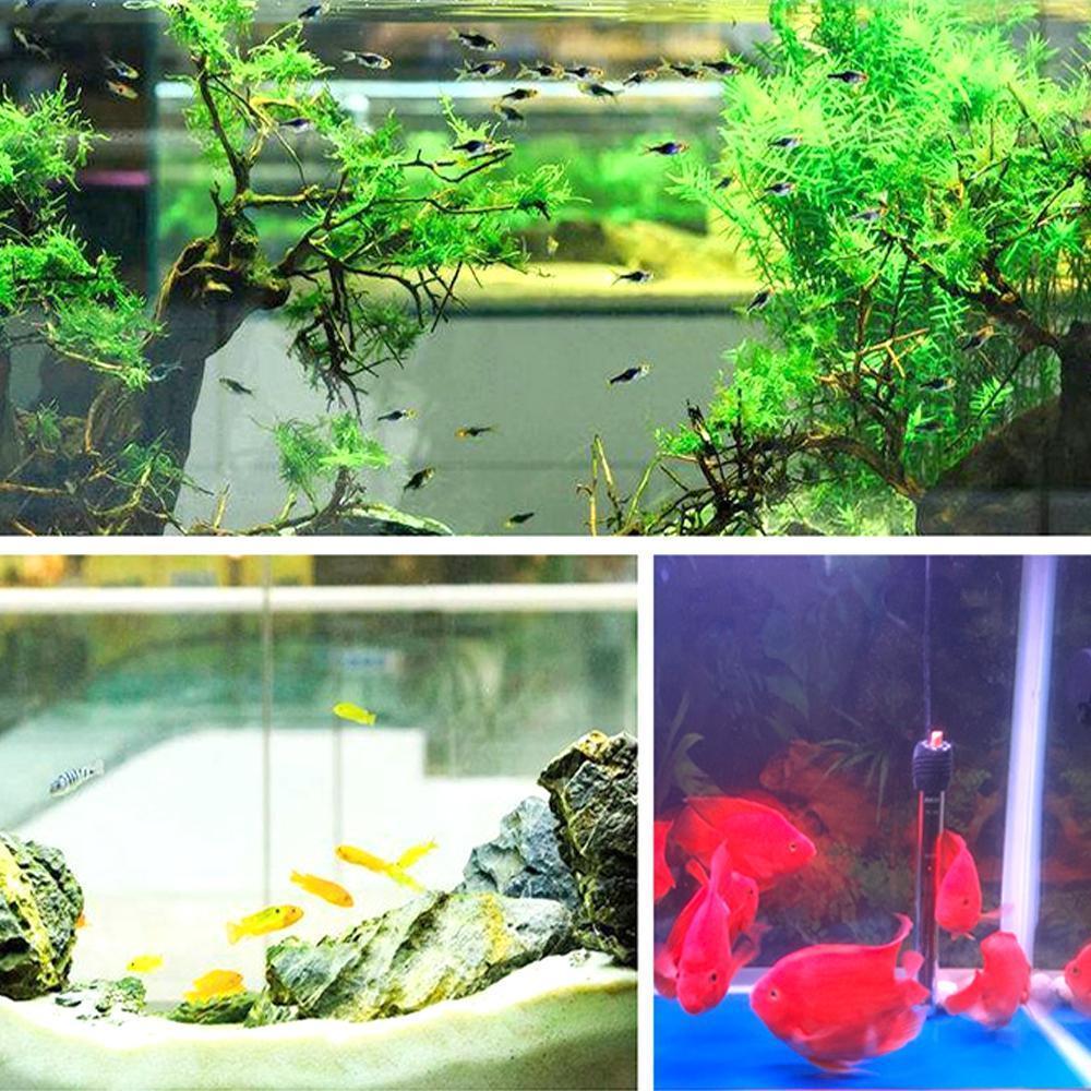 Eco-Aquarium Water Purifier Cube - Image 12