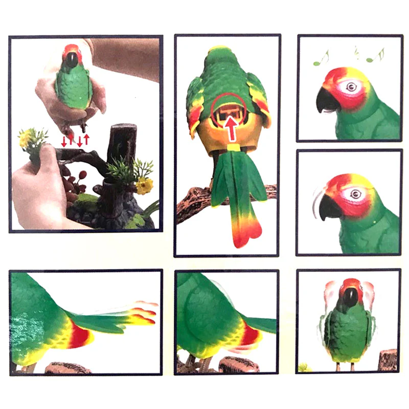 Electric Battery Operated Control Voice-Parrots - Image 8