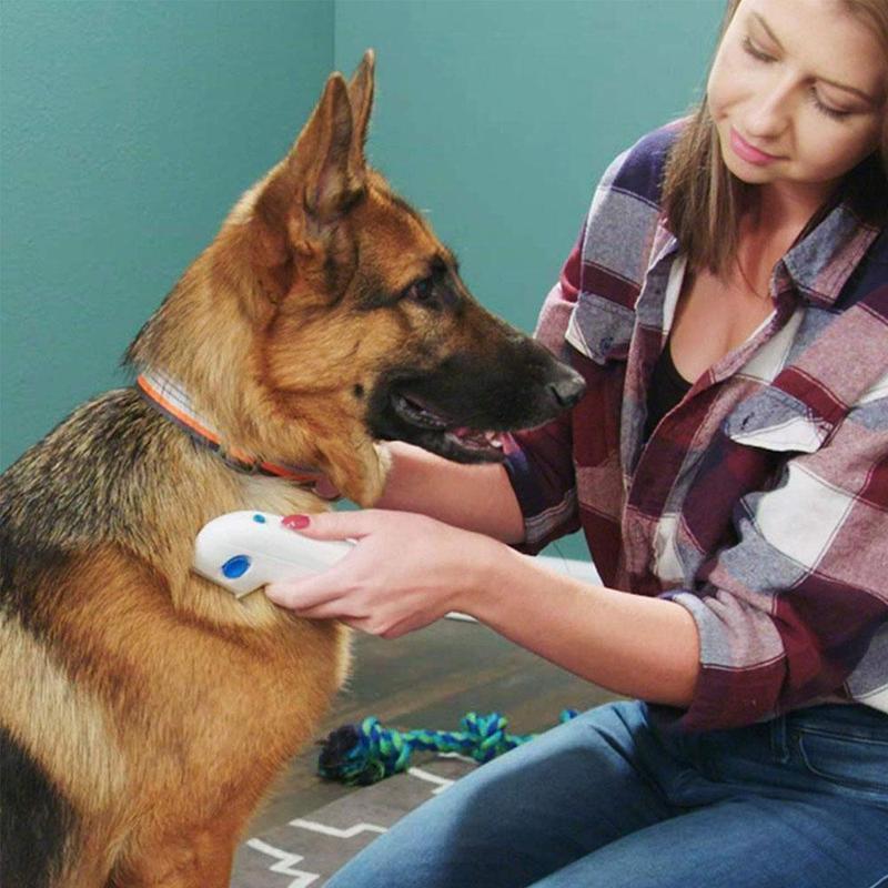 Electric Flea Remover for Pets - Image 6