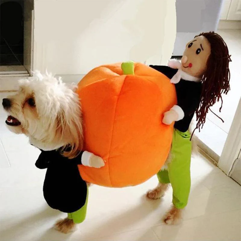Funny Pet Costumes - Image 15