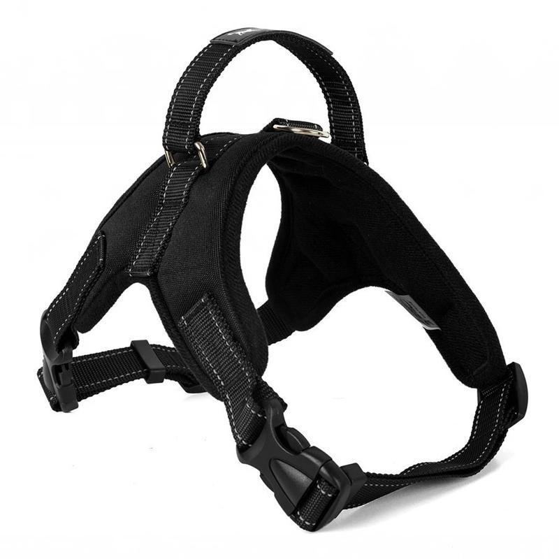 Hirundo® No-Pull Dog Harness, Adjustable Harness for Dogs - Image 2