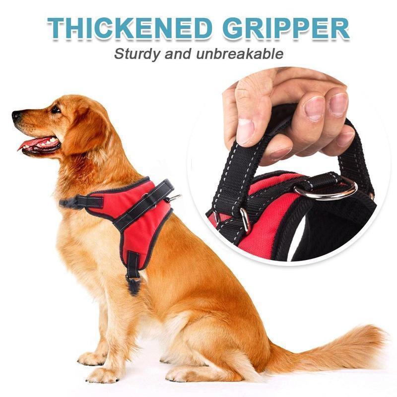 Hirundo® No-Pull Dog Harness, Adjustable Harness for Dogs - Image 5