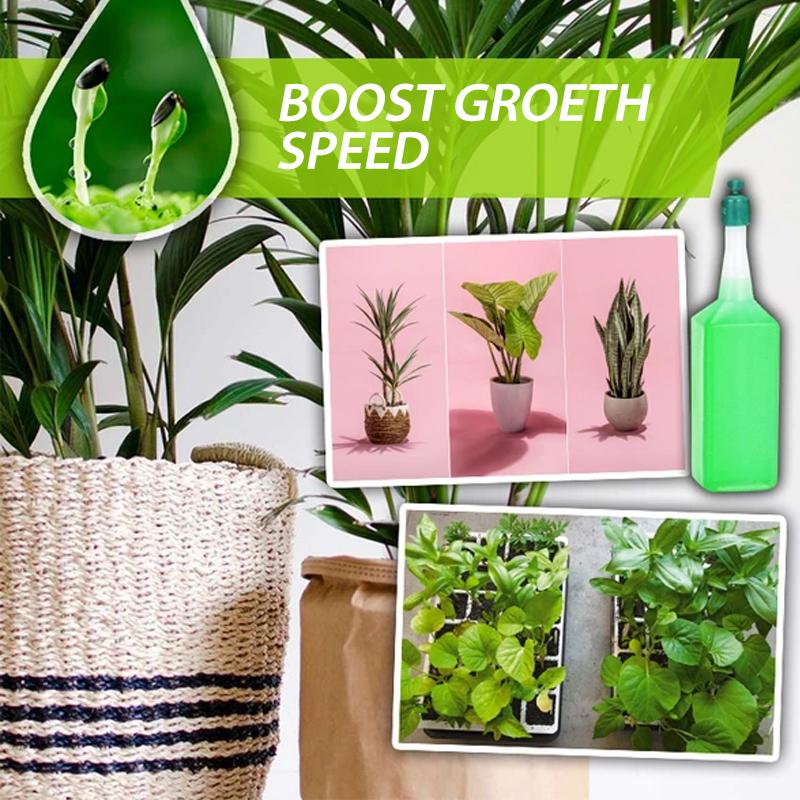Hydroponic Liquid Fertilizer - Image 5