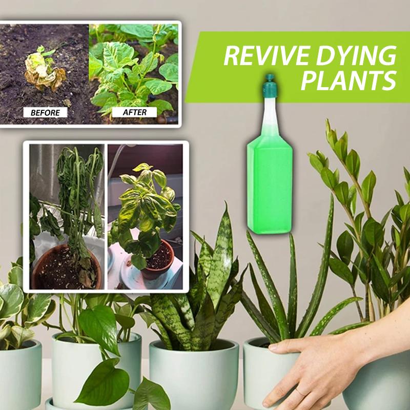 Hydroponic Liquid Fertilizer - Image 6