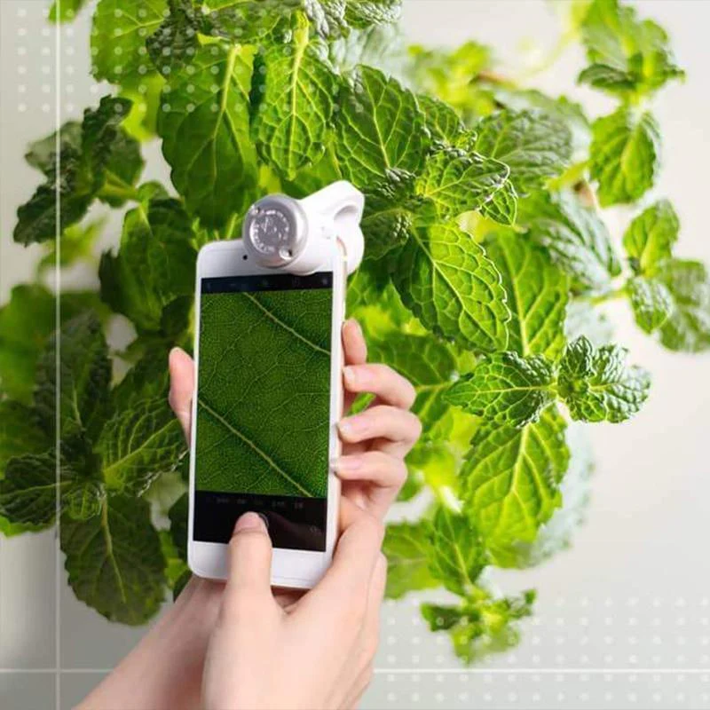LED Mobile Phone Microscope - Image 4