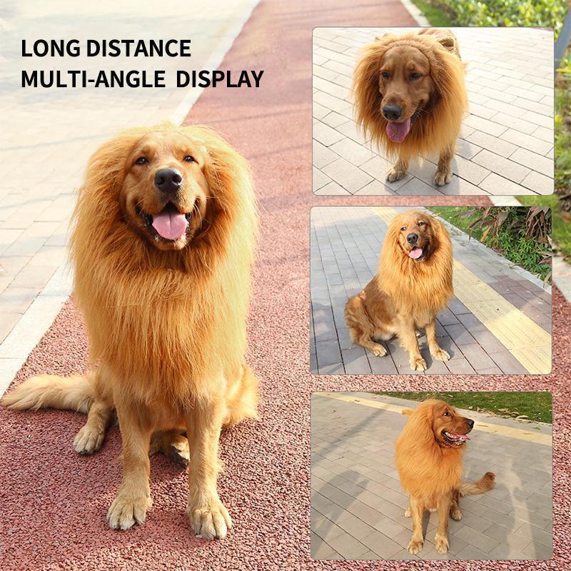 Lion Mane Wig for Dogs - Image 3