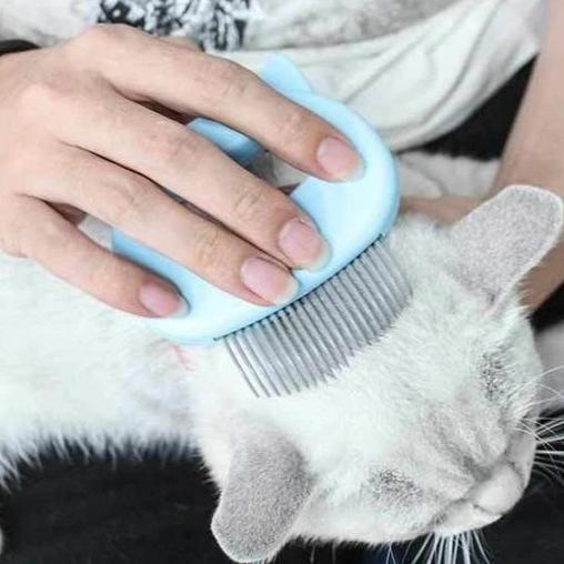 MASSAGE & GROOMING PLEASURE FOR YOUR CAT! - Image 4