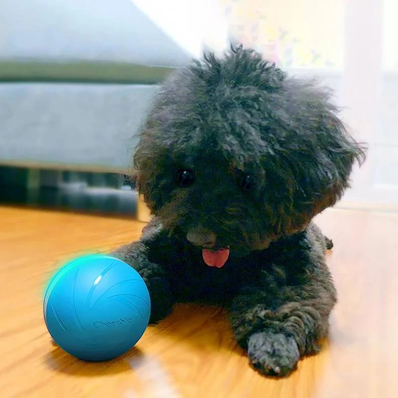 Motion Ball - Image 7