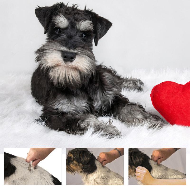 Pet Hair Remover Comb - Image 7