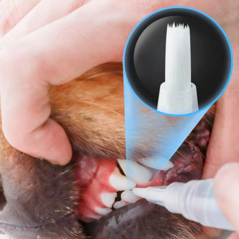 Pet Teeth Cleaning Pen - Image 7