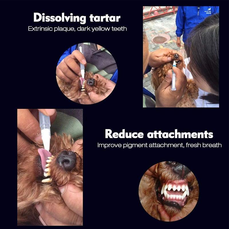 Pet Teeth Cleaning Pen - Image 8
