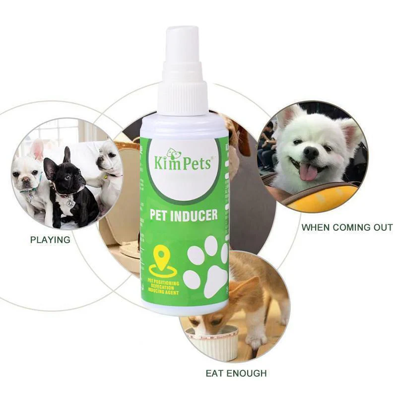 Pet Toilet Training Aid - Image 3