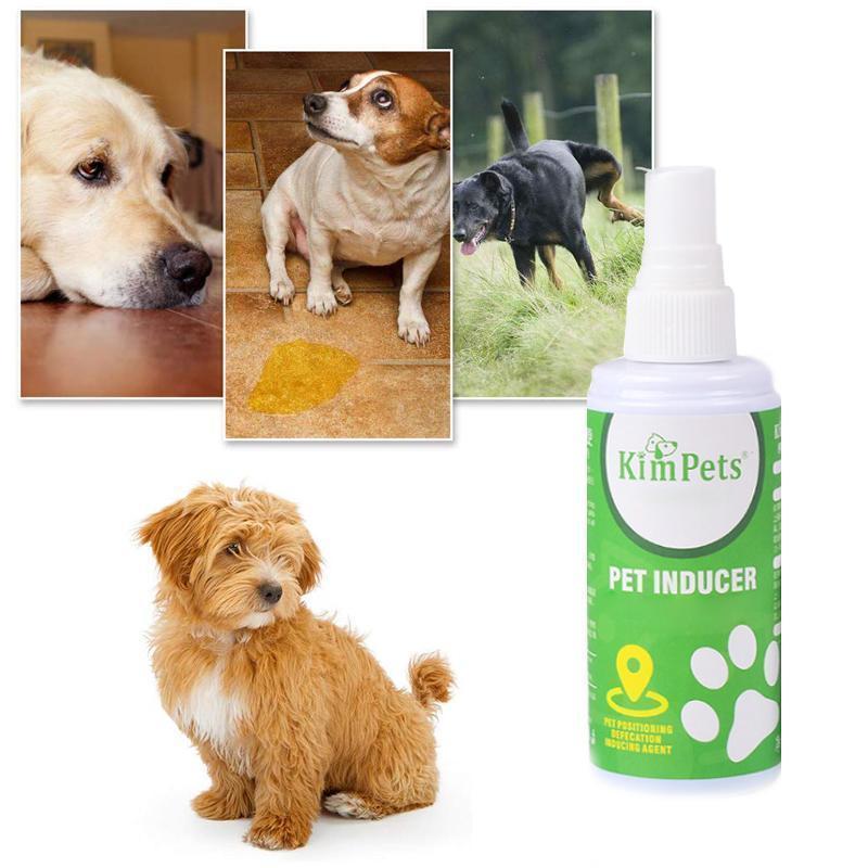 Pet Toilet Training Aid - Image 4