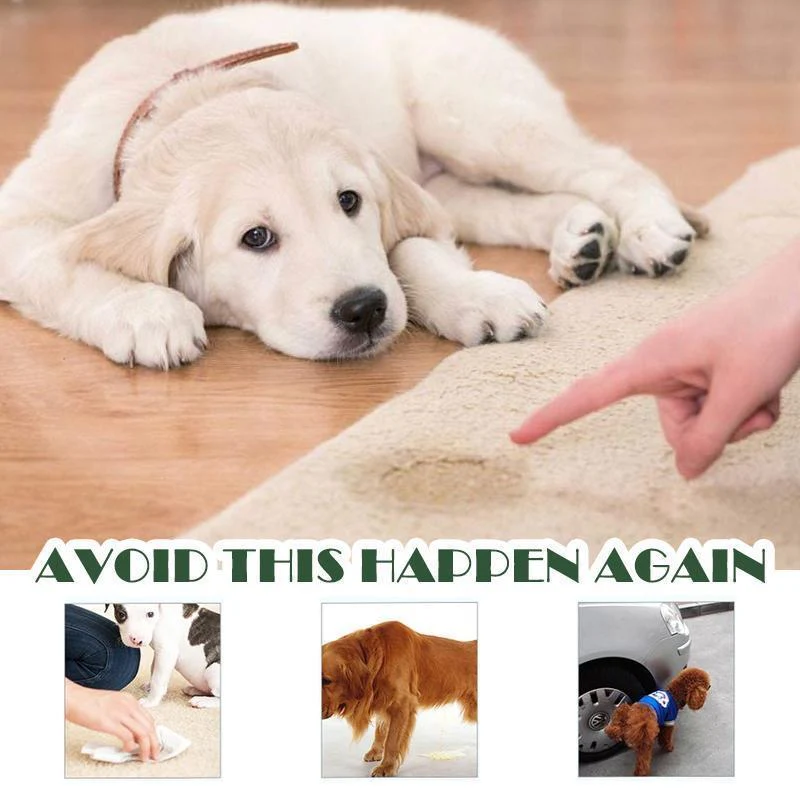 Pet Toilet Training Aid - Image 5
