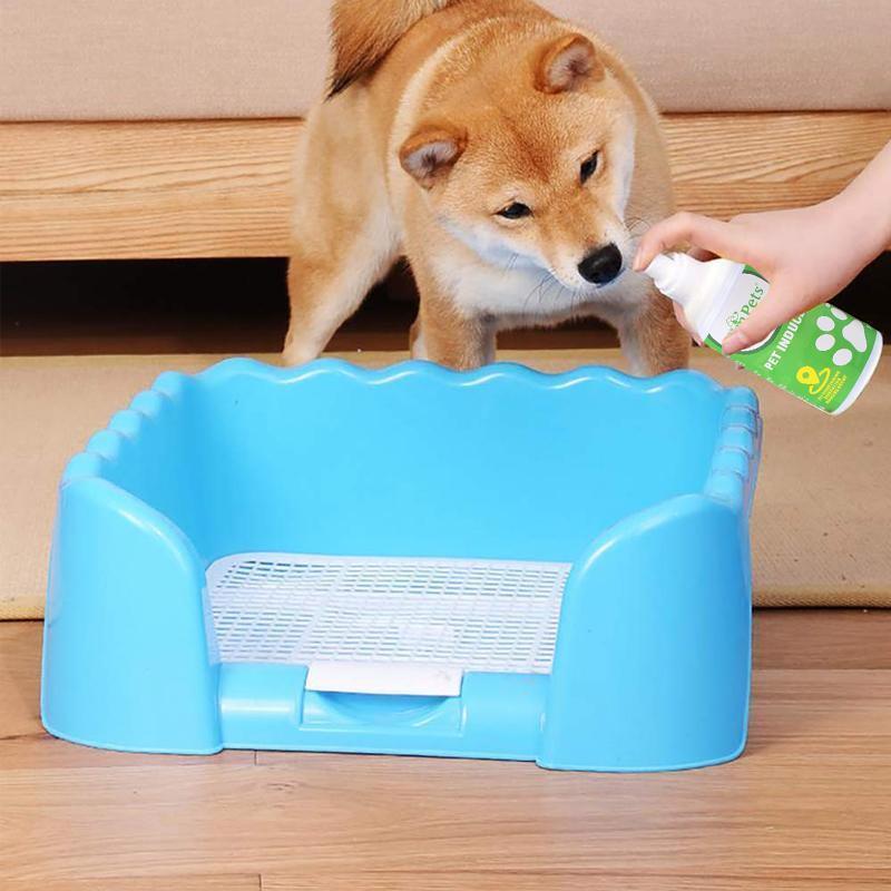 Pet Toilet Training Aid - Image 6