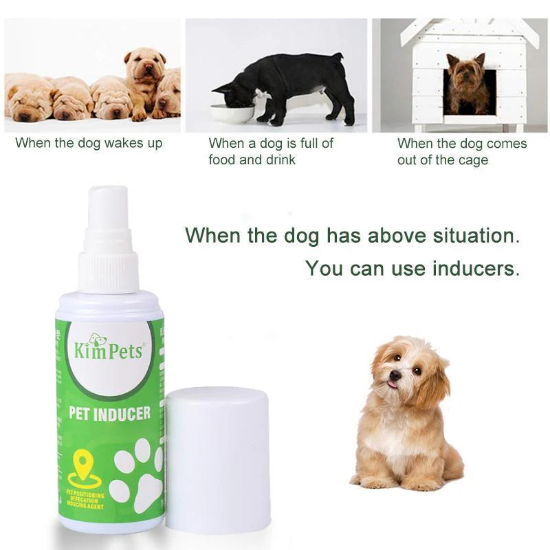 Pet Toilet Training Aid - Image 7