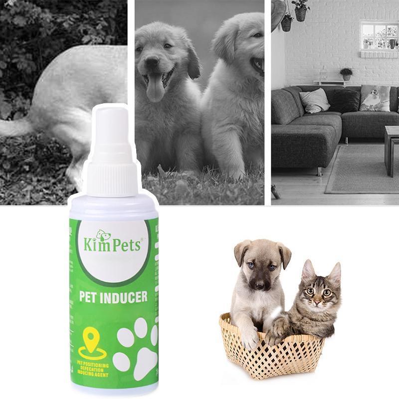 Pet Toilet Training Aid - Image 8