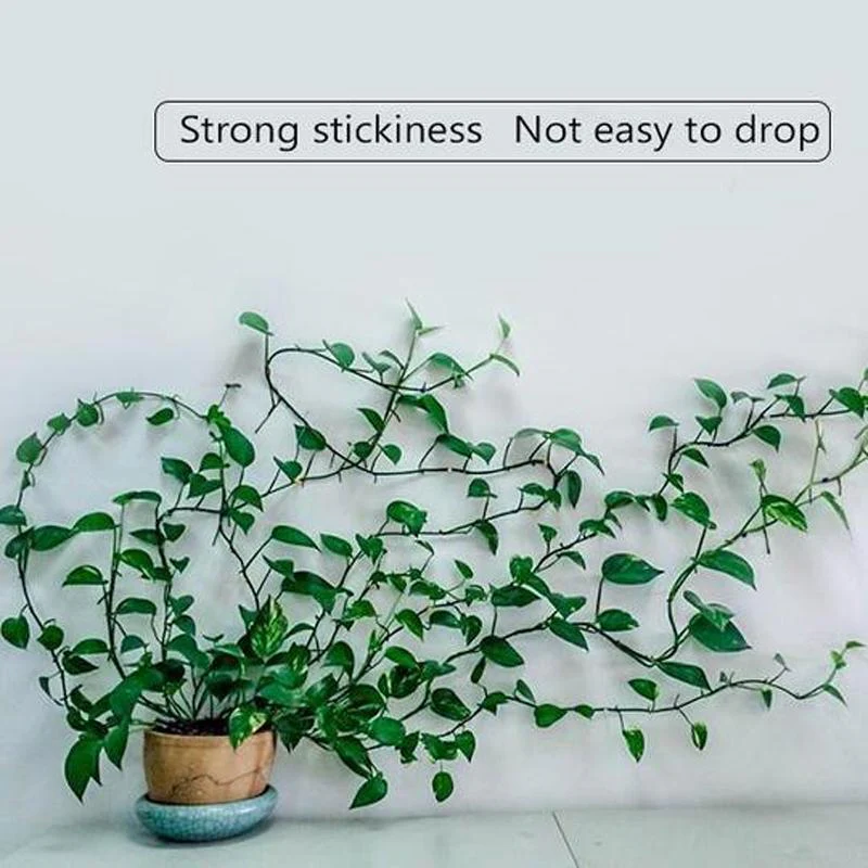 Plant Climbing Wall Clip - Image 8