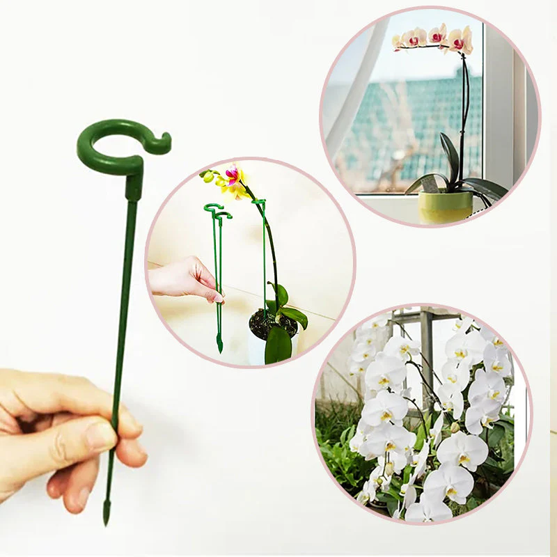 🌺55% OFF🌿Plant Support Stake - Image 2