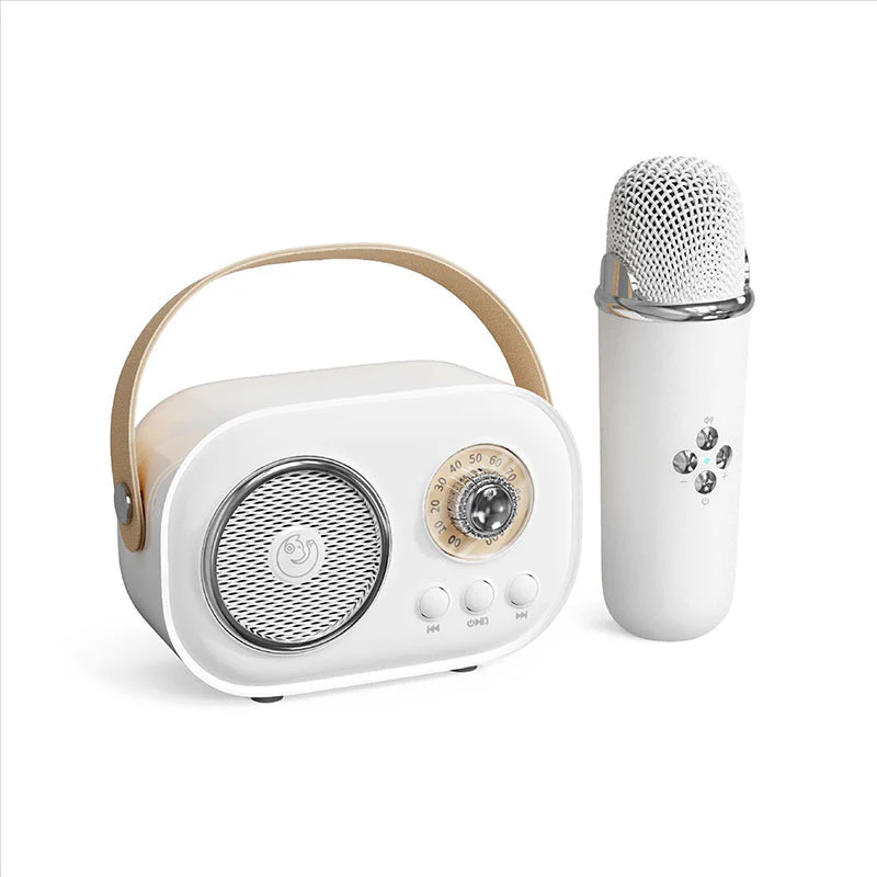 Portable Bluetooth Speaker with Wireless Microphone - Image 11