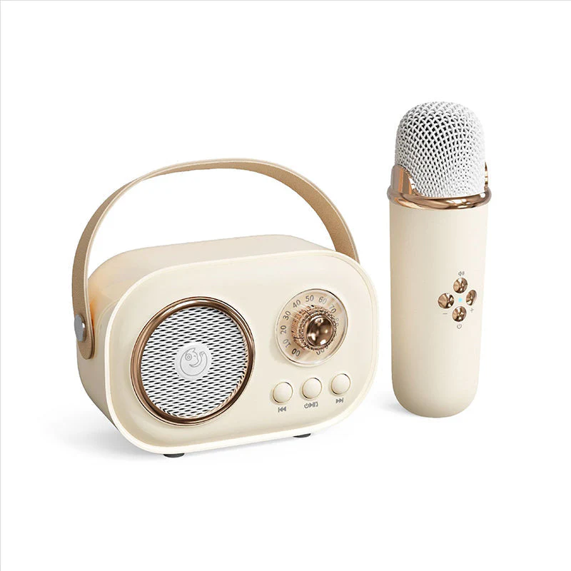 Portable Bluetooth Speaker with Wireless Microphone - Image 16