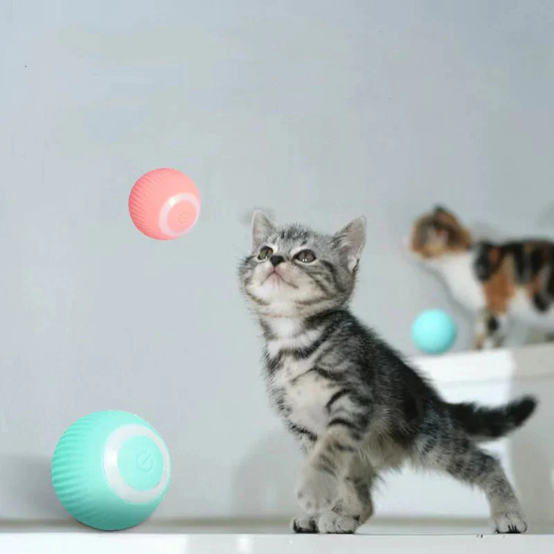 Smart Self Rolling Ball - Image 7