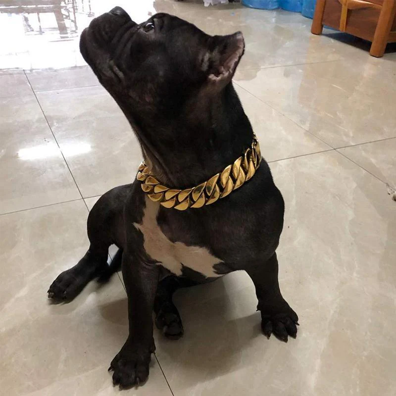 Stainless Steel Dog Chain Collar - Image 2