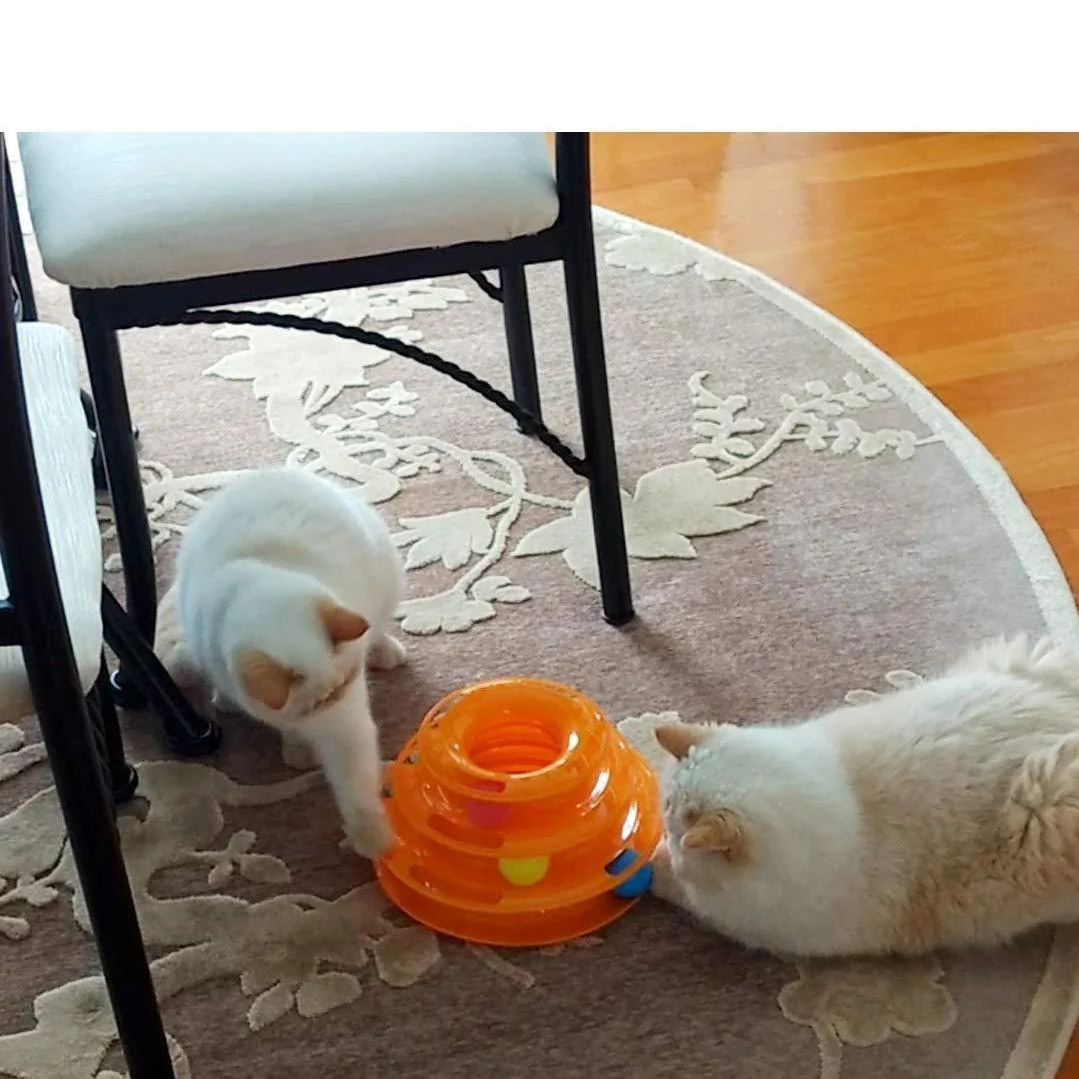 Three Layer Colorful Cat Track Tower Toy - Image 5