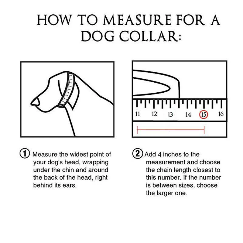 Titanium Steel Pet Dog Chain - Image 8