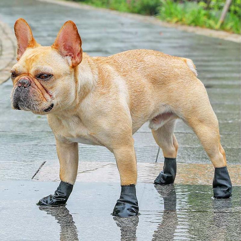 Waterproof Dog Shoes for Paw Protection - Image 5
